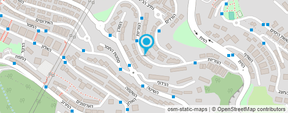 מפת הגעה אל אולגה - מצגות לאירועים