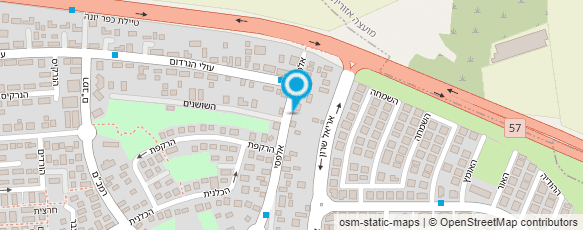 מפת הגעה אל אפי דונטי