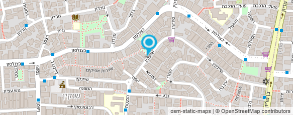 מפת הגעה אל סוזי לביא