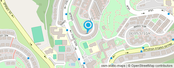 מפת הגעה אל עו"ד אבגי רוזי