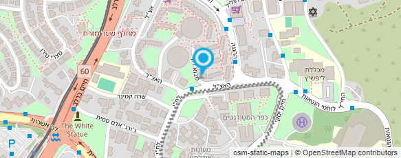 מפת הגעה אל CSS מערכות