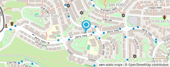 מפת הגעה אל מיכאל שרותי צבע וגבס