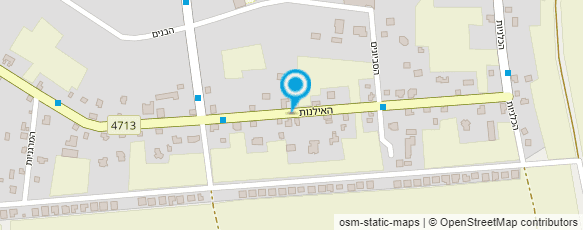 מפת הגעה אל הקקטוס שלי