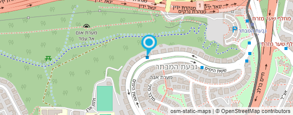 מפת הגעה אל שטיפת רכב