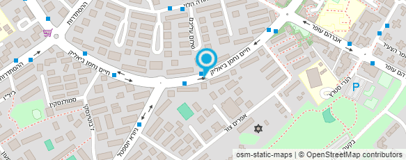 מפת הגעה אל דינה סטולין