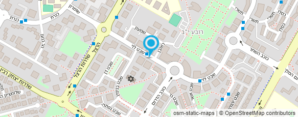 מפת הגעה אל שיר אמיתי - פיזיותרפיסטית התפתחותית