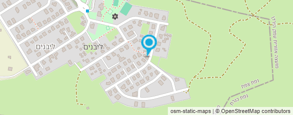 מפת הגעה אל אלישפע - מטפלת בתטא הילינג