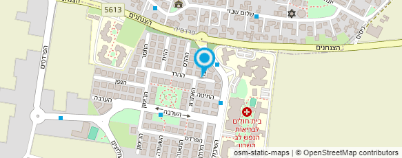 מפת הגעה אל שלומית דור