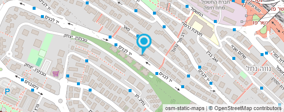 מפת הגעה אל ניקול שמילביץ' מורה פרטית