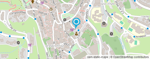 מפת הגעה אל ד"ר נינו שפוליאנסקי