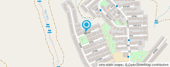 מפת הגעה אל לאון עיצוב בלונים