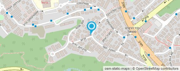 מפת הגעה אל שורץ מירי