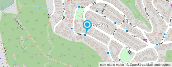 מפת הגעה אל סאלי תדמור