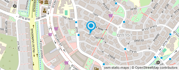 מפת הגעה אל שירלי גולרן