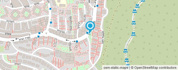 מפת הגעה אל סרגיי גריניס צילומי משפחה