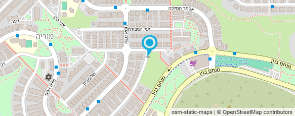 מפת הגעה אל דמו שיפוצים