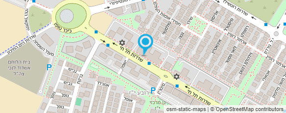 מפת הגעה אל מדאם רג'ין