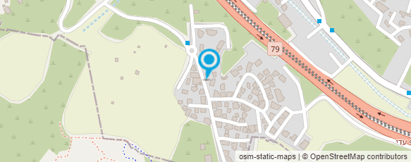 מפת הגעה אל פיצה התאומים