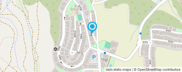 מפת הגעה אל מור מילשטיין - פסיכותרפיה