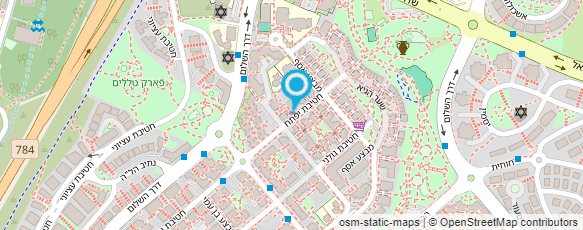 מפת הגעה אל עו"ד גרונין טטיאנה