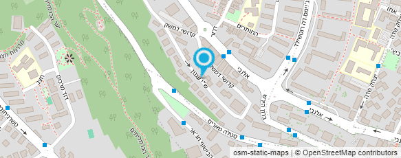 מפת הגעה אל פיטר מצלמות אבטחה