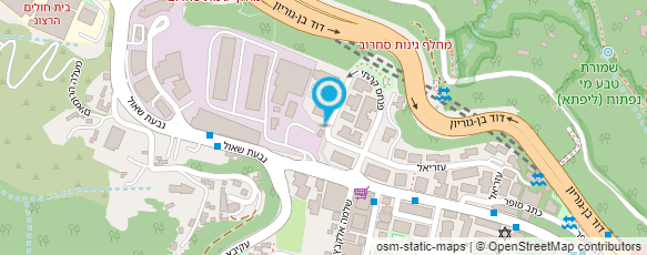 מפת הגעה אל לאה גרינולד