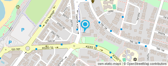 מפת הגעה אל N.S שרותי הגברה