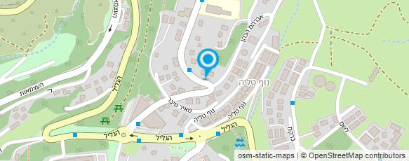 מפת הגעה אל פיצה פלרמו האורגינל