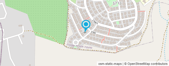 מפת הגעה אל לוניס loni's