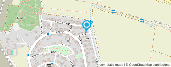 מפת הגעה אל EMS - תראפי, טיפול בכאב