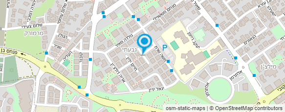 מפת הגעה אל לילי מיארה ציור על עץ