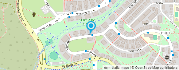 מפת הגעה אל ד"ר ויקטוריה לוברסקי