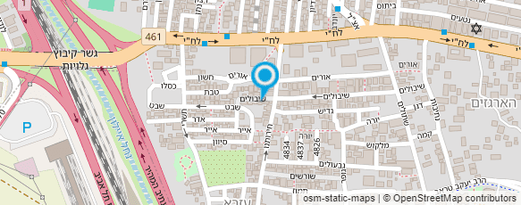 מפת הגעה אל דינה דגיר מאפרת מקצועית