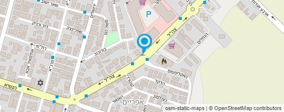 מפת הגעה אל תמנון- נשים גברים וילדים