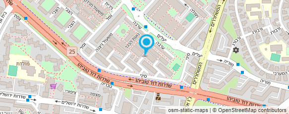 מפת הגעה אל ליסה תמר