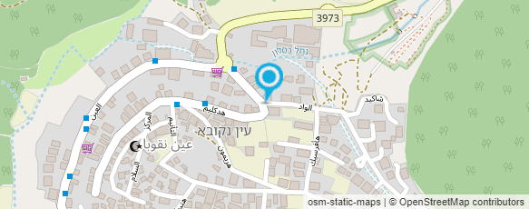 מפת הגעה אל מלכת הממולאים עין נקובא