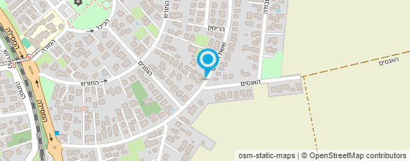 מפת הגעה אל אינסה כץ טיפולים באלרגיה