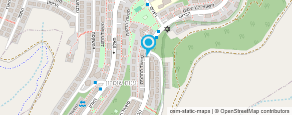 מפת הגעה אל עץ הזהר -  עבודות עץ