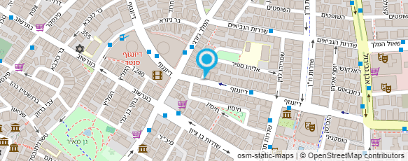 מפת הגעה אל דיזנגוף 40 פרחים מפת הגעה אל דיזנגוף 40 פרחים