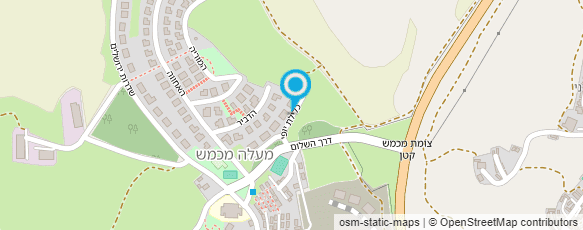 מפת הגעה אל שרה עיסוי רפואי לנשים