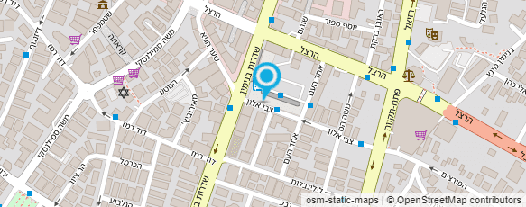 מפת הגעה אל LEON SECURITY