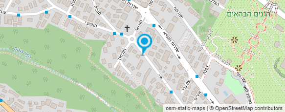 מפת הגעה אל רוזנשטיין  אירנה- מתמטיקה