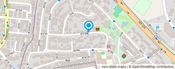 מפת הגעה אל שירי פלדמן- הומאופתיה קלאסית