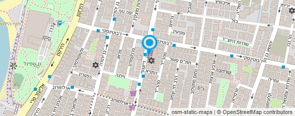 מפת הגעה אל דיזנגוף מנעולים