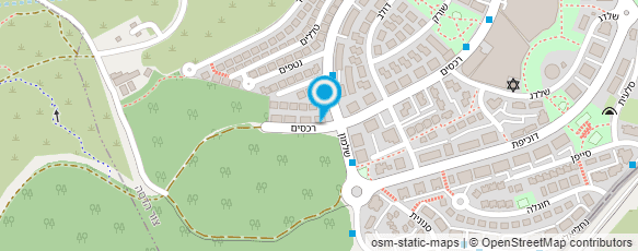 מפת הגעה אל טלי לוין