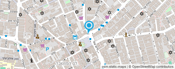 מפת הגעה אל Ninio flowers