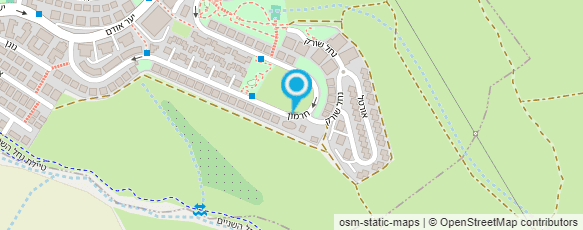 מפת הגעה אל לוין טל - פלדנקרייז