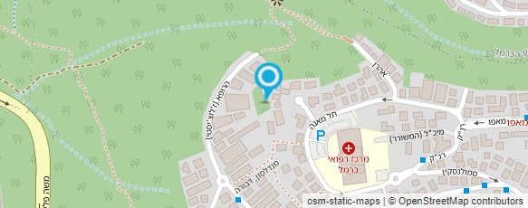 מפת הגעה אל רוגל נעמי - פלדנקרייז