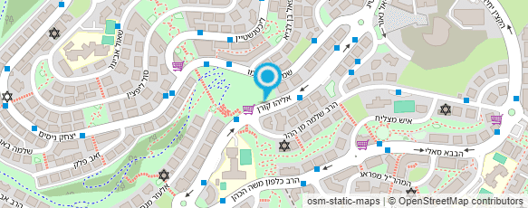 מפת הגעה אל פרינסס אשלי