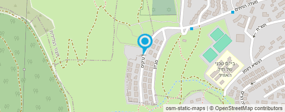 מפת הגעה אל סטודיו נטשה